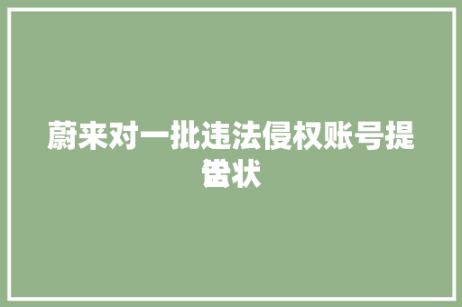 蔚来对一批违法侵权账号提告状
讼 冰箱