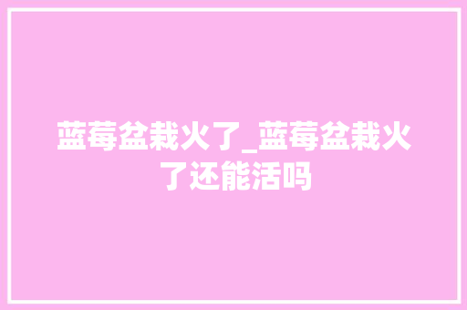 蓝莓盆栽火了_蓝莓盆栽火了还能活吗 冰箱
