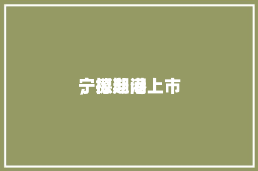 宁德期间
，拟赴港上市 冰箱